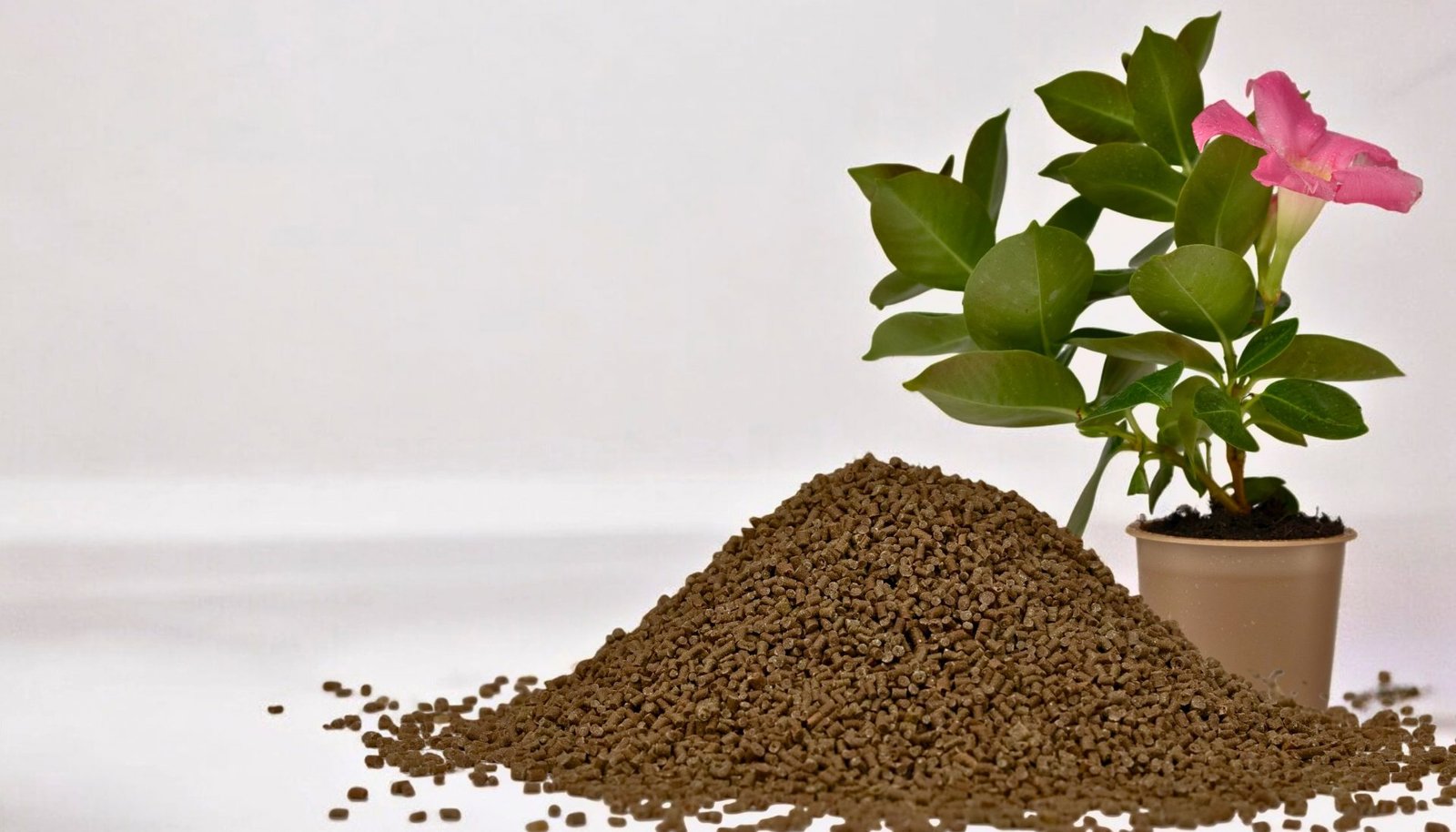 comp I verde Produktbild — nachhaltiger Biokunststoff